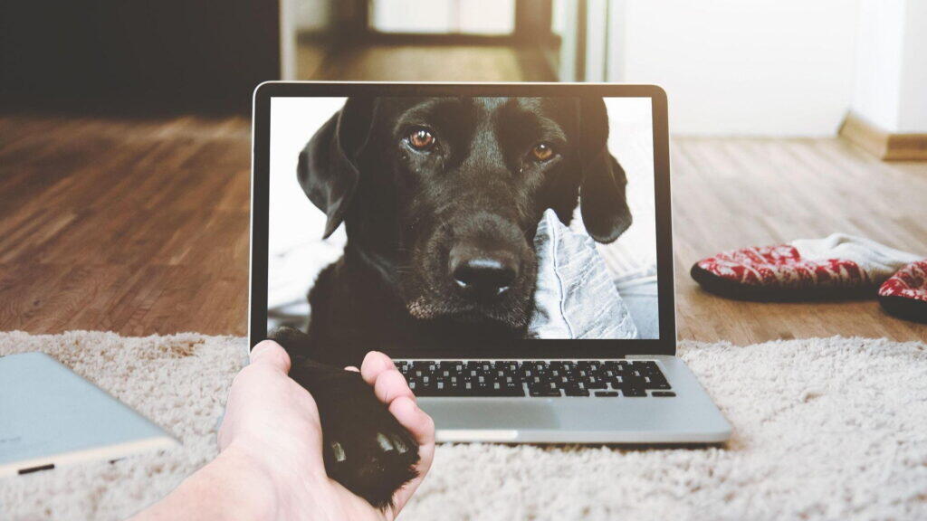 リユース事業で成功するための5つのポイント